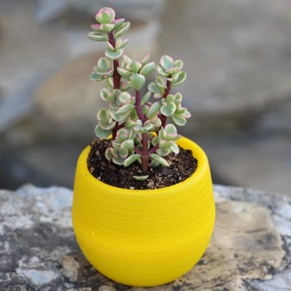 1PCS Flower Pot Round Plastic Planter Nursery Garden Desk Home Decor Candy Color 5 Random Colors
1PCS Flower Pot Round Plastic Planter Nursery Garden Desk Home Decor Candy Color 5 Random Colors