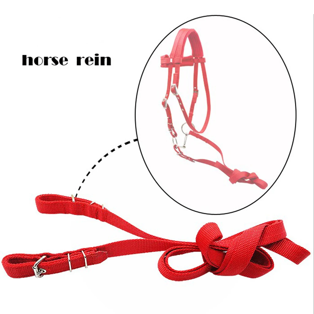 Horse Bridle Horse Rein Headstall Thickened Halter Equestrian Accessories Removable Snaffle Nylon Webbing Horse Riding Equipment
Horse Bridle Horse Rein Headstall Thickened Halter Equestrian Accessories Removable Snaffle Nylon Webbing Horse Riding Equipment