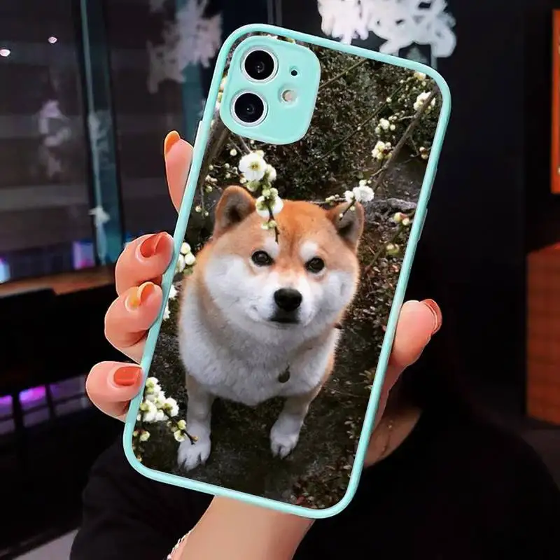 animal shiba inu Phone Case Matte transparent For blue iPhone 12 Mini 11 Pro XR XS Max 7 8 Plus X Back Cover
animal shiba inu Phone Case Matte transparent For blue iPhone 12 Mini 11 Pro XR XS Max 7 8 Plus X Back Cover