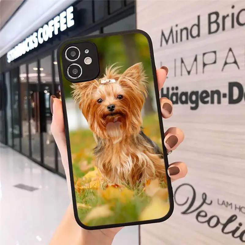 Yorkshire Terrier dog cute Phone Case Matte Transparent for iPhone 7 8 11 12 s mini pro X XS XR MAX Plus cover funda
Yorkshire Terrier dog cute Phone Case Matte Transparent for iPhone 7 8 11 12 s mini pro X XS XR MAX Plus cover funda