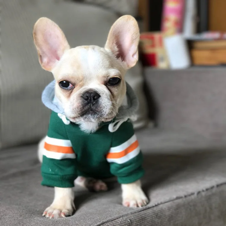 2022 Dog Clothes pet dog clothes Method Fight Teddy Puppy Cotton Sweater Small and Medium-sized Dog Corgi Pet Sweater
2022 Dog Clothes pet dog clothes Method Fight Teddy Puppy Cotton Sweater Small and Medium-sized Dog Corgi Pet Sweater