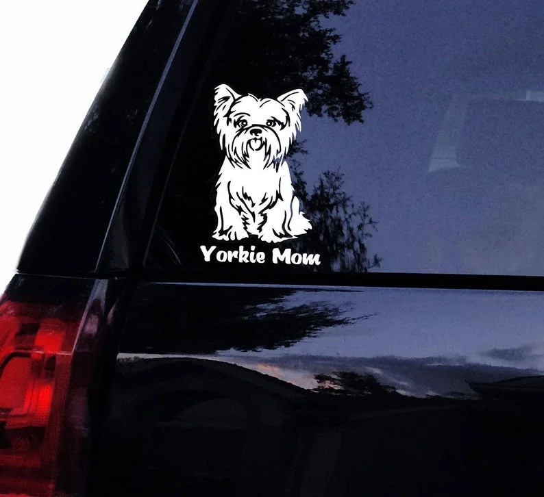 2022 New Sticker Decal Sticker for Car Window, Laptop, Motorcycle, Walls, Mirror and More 
2022 New Sticker Decal Sticker for Car Window, Laptop, Motorcycle, Walls, Mirror and More