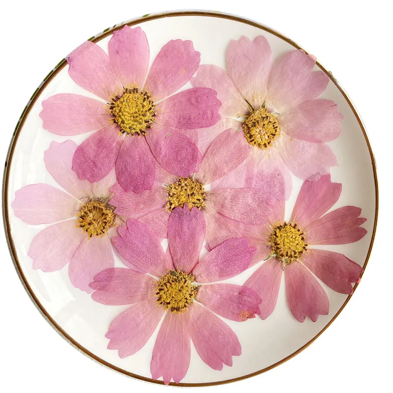

Оригинальные букеты розовых цветов Космос сделай сам материал ручной работы цветочный сушеный цветок образец 1 лот/100 шт.