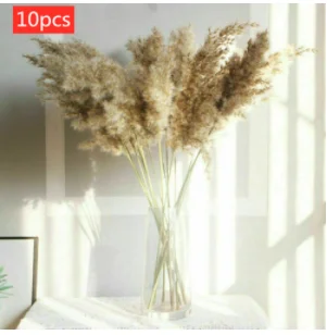 10Pcs Dried Small Pampas Grass Flowers Pantas Artificiales Para Decoracion Real Plants Home Decor Wedding Decoration
10Pcs Dried Small Pampas Grass Flowers Pantas Artificiales Para Decoracion Real Plants Home Decor Wedding Decoration