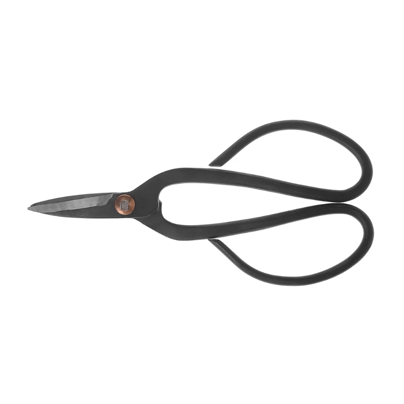 Beginner Carbon Steel Household Bonsai Tools Scissors Gardening Branch Shears N1HA
Beginner Carbon Steel Household Bonsai Tools Scissors Gardening Branch Shears N1HA
