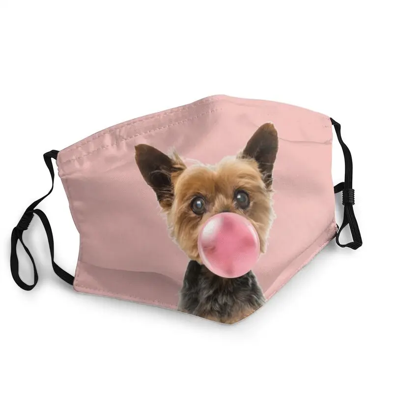 Yorkie Bubble Gum Art Mask Anti Dust Breathable Yorkshire Terrier Dog Face Mask Protection Cover Unisex Respirator Mouth-Muffle
Yorkie Bubble Gum Art Mask Anti Dust Breathable Yorkshire Terrier Dog Face Mask Protection Cover Unisex Respirator Mouth-Muffle