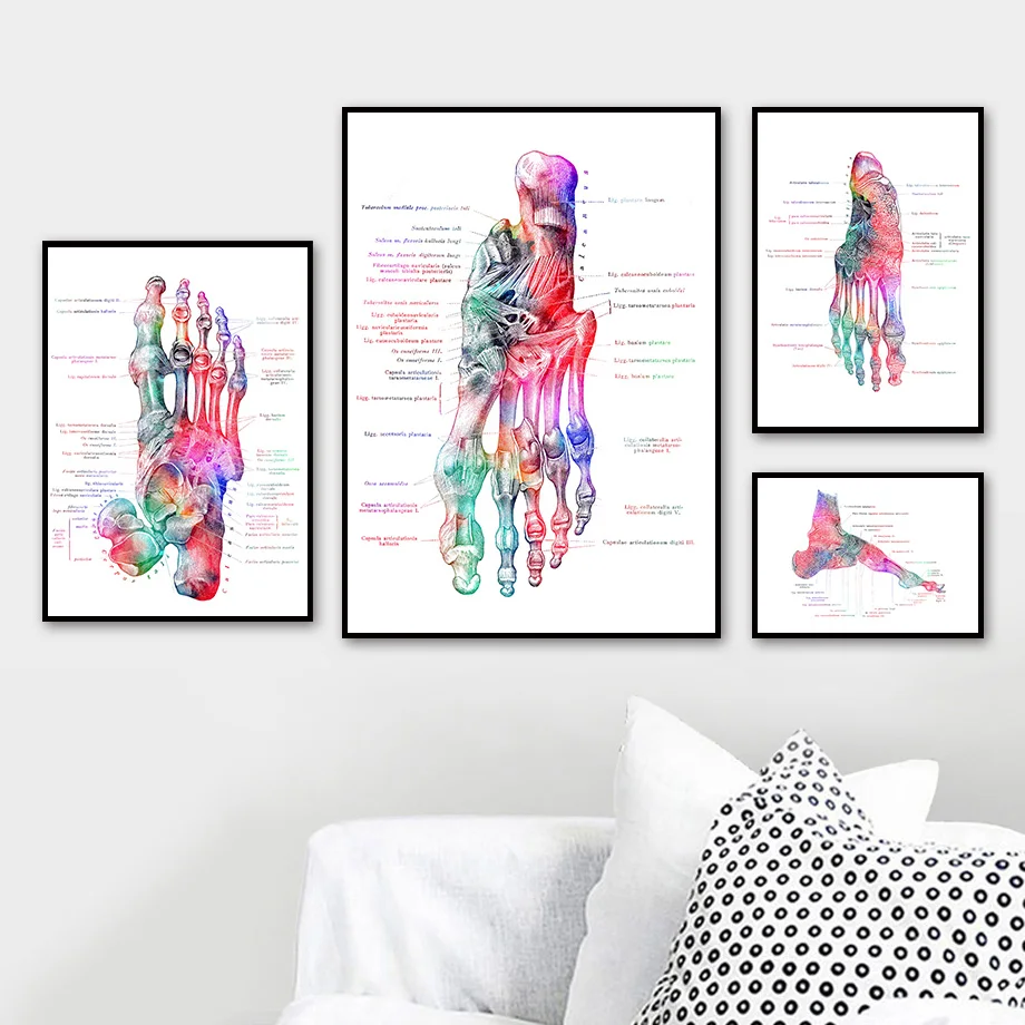 Colorful Skeleton Anatomy Poster Medicine Education Wall Art Canvas Painting Decor Pictures for Doctor Office Student Gift
Colorful Skeleton Anatomy Poster Medicine Education Wall Art Canvas Painting Decor Pictures for Doctor Office Student Gift