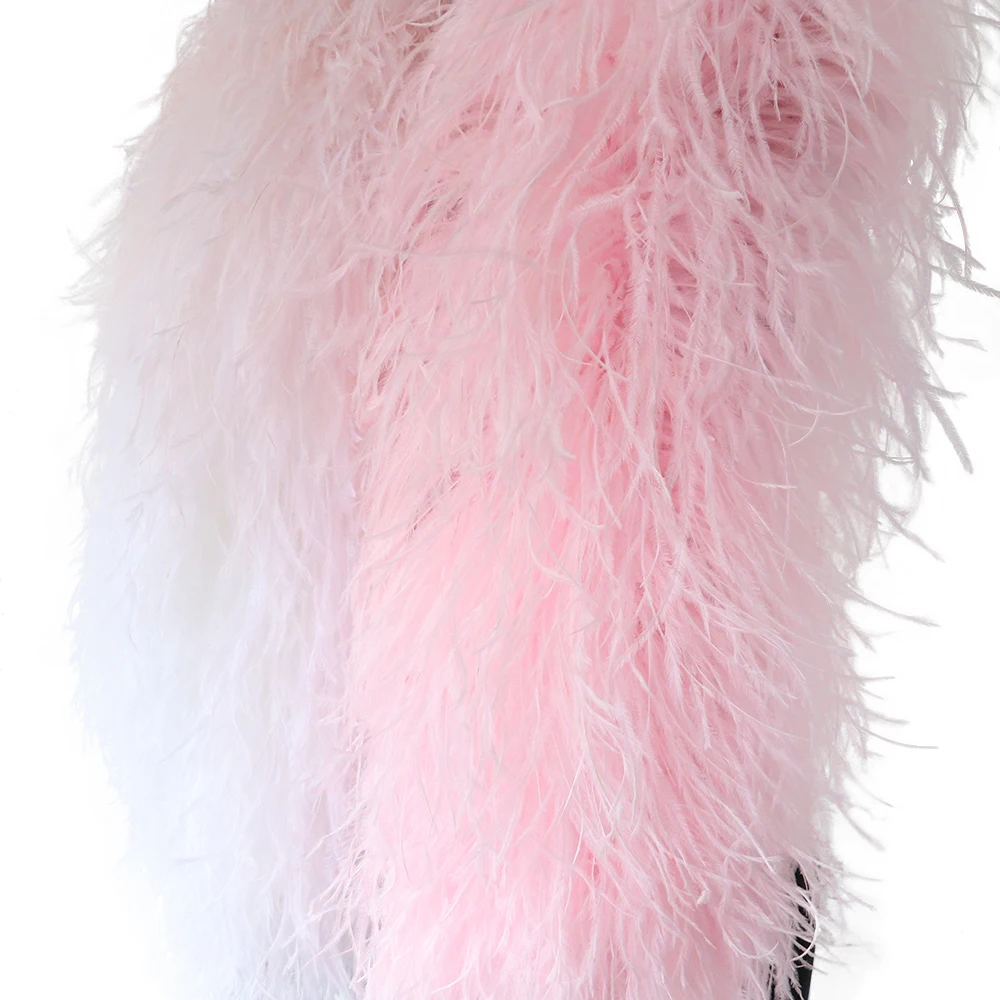 1.2M 26Ply Natural Ostrich Feathers Boa Decoration Accessories For Scarf Wedding Party Carnival Plume Boa Decor Crafts Wholesale
1.2M 26Ply Natural Ostrich Feathers Boa Decoration Accessories For Scarf Wedding Party Carnival Plume Boa Decor Crafts Wholesale