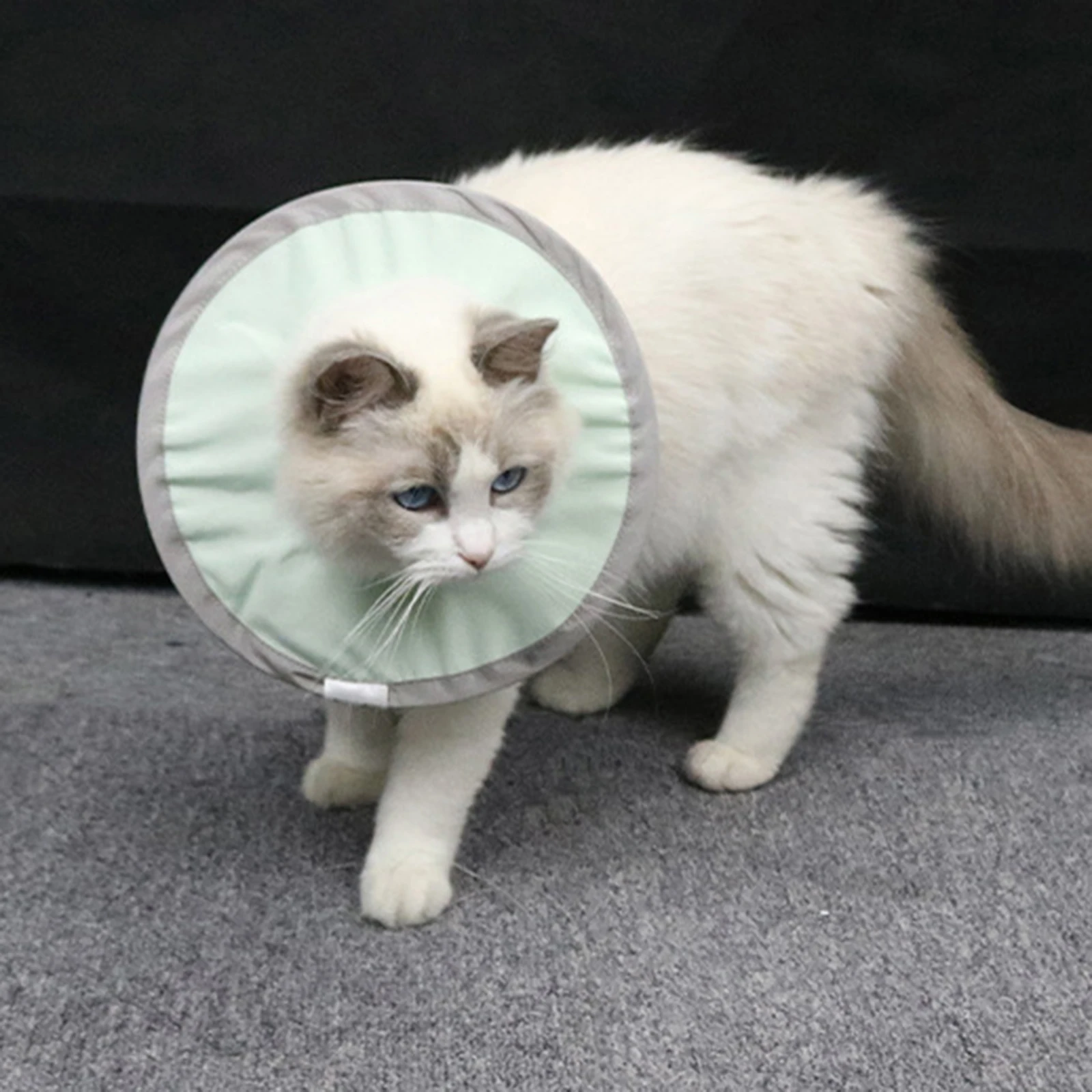 Cat Cone Recovery Collar Adjustable Soft Waterproof Cone for Cats Puppies After Surgery Protective
Cat Cone Recovery Collar Adjustable Soft Waterproof Cone for Cats Puppies After Surgery Protective