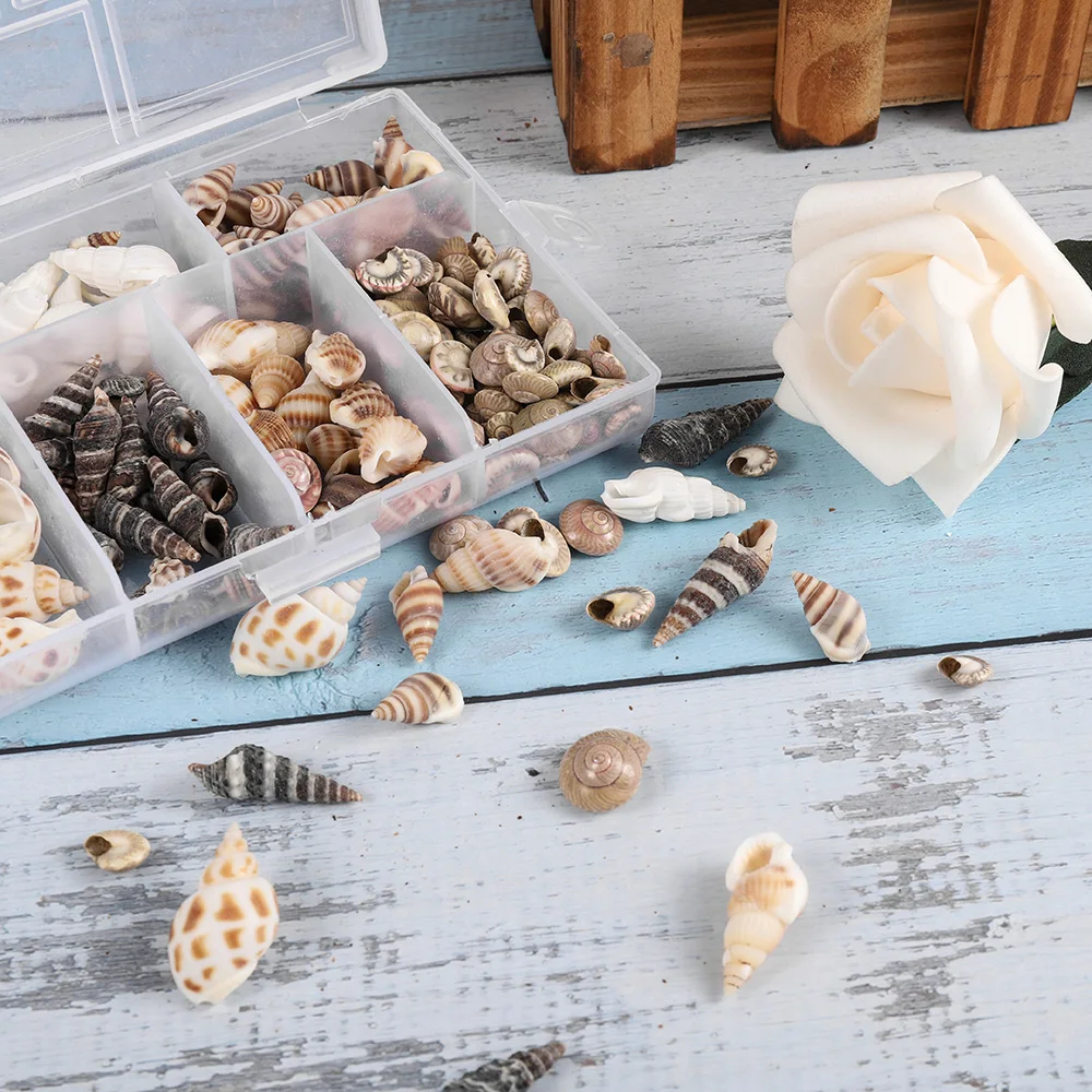 1Box Mixed Natural Real Sea Shells Mini Conch Corn Screw Material Silicone Epoxy Resin Mold Filling For DIY Jewelry Making Craft
1Box Mixed Natural Real Sea Shells Mini Conch Corn Screw Material Silicone Epoxy Resin Mold Filling For DIY Jewelry Making Craft