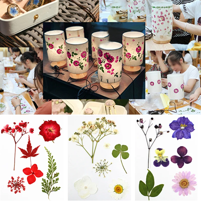 1 Pack Creative Practical Dry Plants Mixed Dried Flowers Pendant Jewelry Making Kit Decorative DIY Candle Necklace Jewelry Craft
1 Pack Creative Practical Dry Plants Mixed Dried Flowers Pendant Jewelry Making Kit Decorative DIY Candle Necklace Jewelry Craft