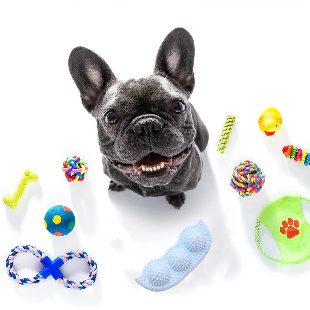 Pet Dog Chewing Toy Elastic Bite Resistant Durable Toothbrush Puppy Dental Care Teeth Cleaning Chewing Training Interactive Toy
Pet Dog Chewing Toy Elastic Bite Resistant Durable Toothbrush Puppy Dental Care Teeth Cleaning Chewing Training Interactive Toy