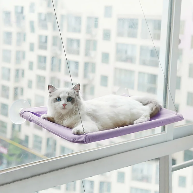 Cute Pet Hanging Beds Bearing 20kg Cat Sunny Window Seat Mount Pet Cat Hammock Comfortable Cat Pet Bed Shelf Seat Beds
Cute Pet Hanging Beds Bearing 20kg Cat Sunny Window Seat Mount Pet Cat Hammock Comfortable Cat Pet Bed Shelf Seat Beds
