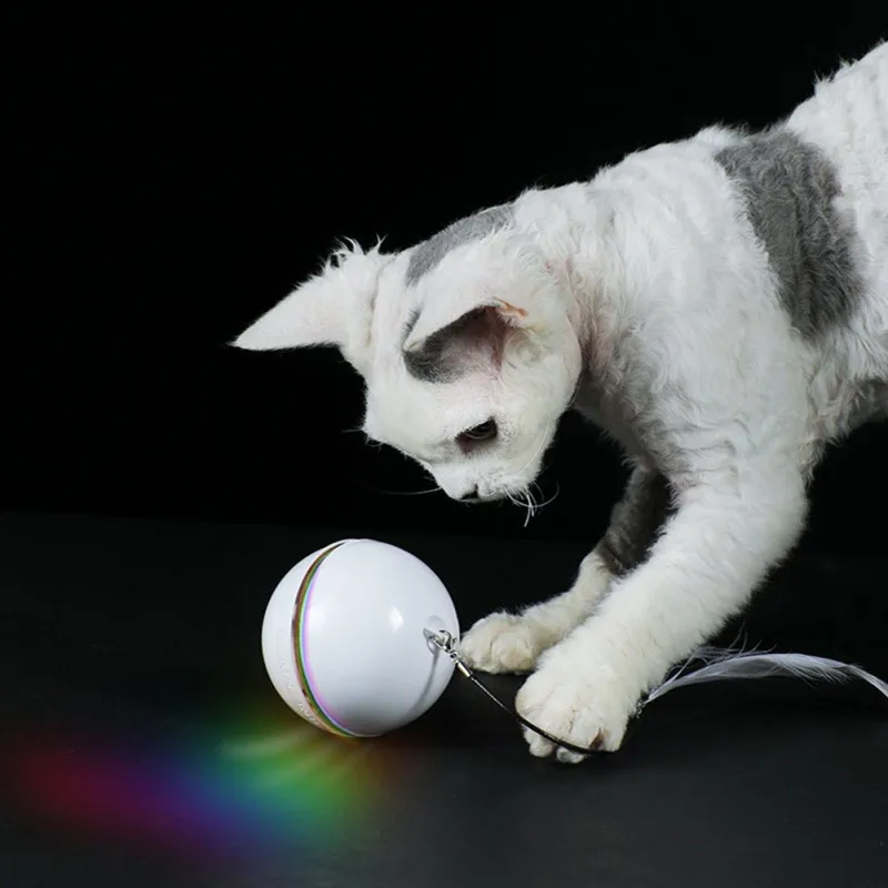 Electric Pet Ball Toys Colorful LED Rolling Flash Ball Toy For Cat With Feather USB Rechargeable Cat Toy For Puppy Cats Dogs
Electric Pet Ball Toys Colorful LED Rolling Flash Ball Toy For Cat With Feather USB Rechargeable Cat Toy For Puppy Cats Dogs