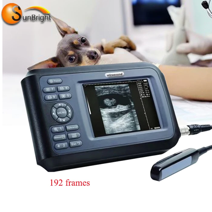 Handheld portable ultrasound price/portable ultrasound scanner USB SUN-808F 
Handheld portable ultrasound price/portable ultrasound scanner USB SUN-808F