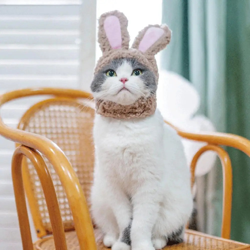 Cat Hat Soft Attractive Pet Headgear Dress Up Pet Hat Lightweight Cat Headgear Rabbit Ears Pet Cat Plush Headwear for Home
Cat Hat Soft Attractive Pet Headgear Dress Up Pet Hat Lightweight Cat Headgear Rabbit Ears Pet Cat Plush Headwear for Home