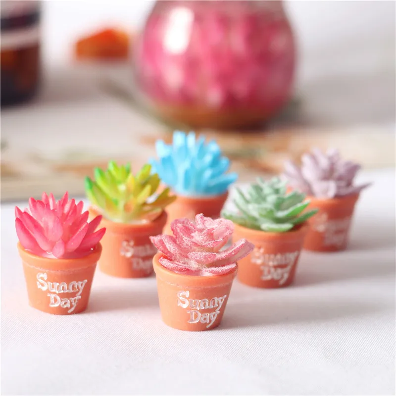 100pcs Resin Mini Creative Simulation Succulents Potted Ornaments DIY Scrapbook for Dollhouse Accessories Miniature Model
100pcs Resin Mini Creative Simulation Succulents Potted Ornaments DIY Scrapbook for Dollhouse Accessories Miniature Model