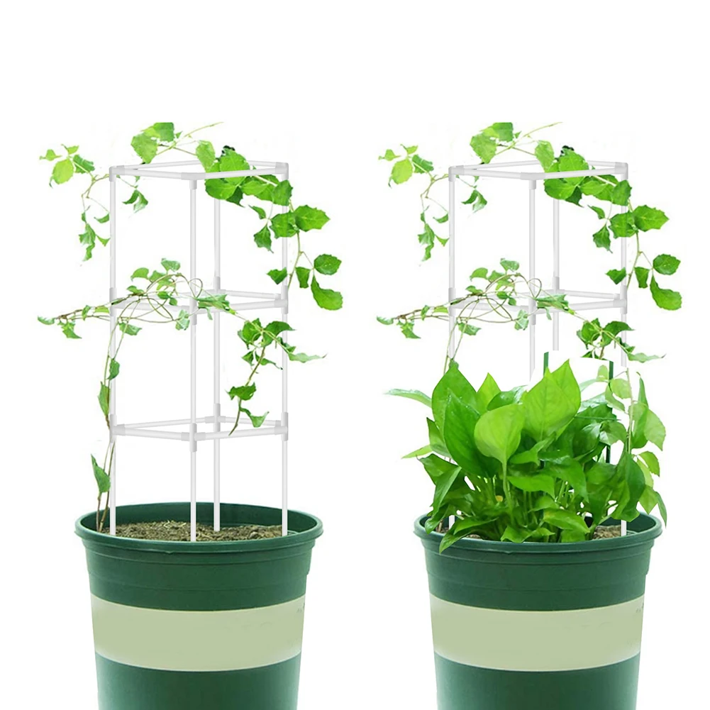 plant climbing rattan rack tomato cage strawberry Stand 2 size Plant climbing rattan bracket connector vine courtyard plant rack
plant climbing rattan rack tomato cage strawberry Stand 2 size Plant climbing rattan bracket connector vine courtyard plant rack