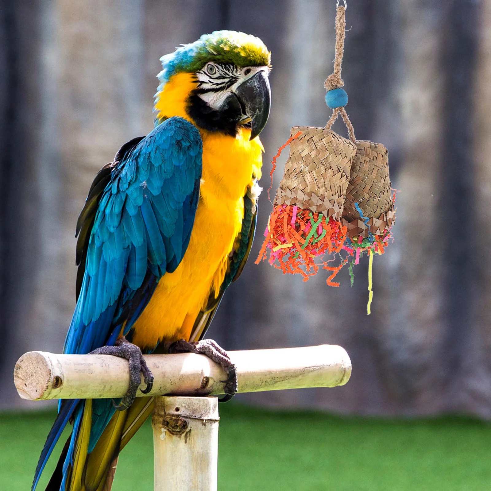 Parrot Foraging Toy Bird Shredding Toys Cage Accessories Cockatiel Chewing Parrots Hanging Parakeet
Parrot Foraging Toy Bird Shredding Toys Cage Accessories Cockatiel Chewing Parrots Hanging Parakeet
