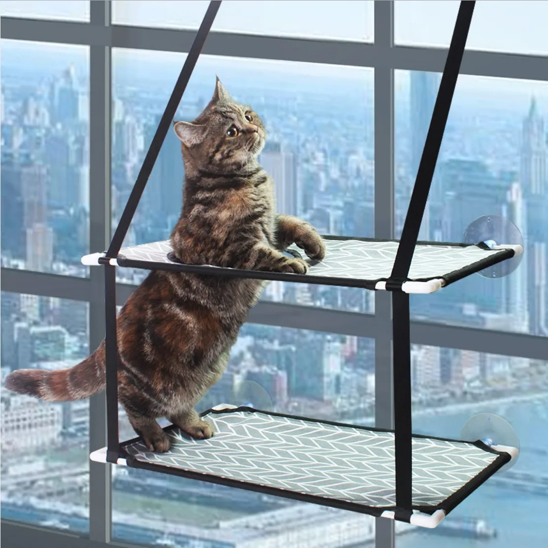 Fiberglass tubes double layers anti scratch durable assembly cat window perch cat window hammock bed
Fiberglass tubes double layers anti scratch durable assembly cat window perch cat window hammock bed