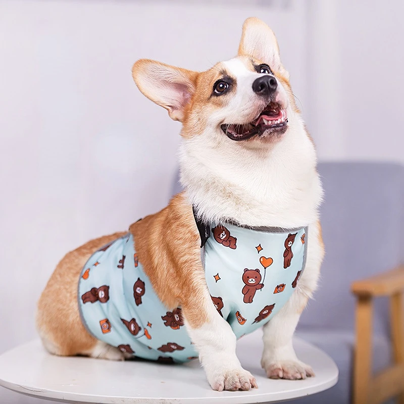 Dog Belly Pocket Korji Dog Belly Protection Clothes Waterproof Warm Bucket Raincoat Pet Waterproof Dog Bib
Dog Belly Pocket Korji Dog Belly Protection Clothes Waterproof Warm Bucket Raincoat Pet Waterproof Dog Bib