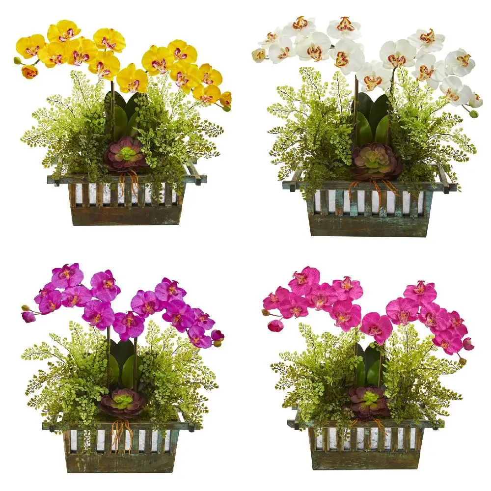 Charming Maiden Hair Artificial Succulent Arrangement: Perfect for Home Décor, Bring Natural Beauty to Your Home.
Charming Maiden Hair Artificial Succulent Arrangement: Perfect for Home Décor, Bring Natural Beauty to Your Home.