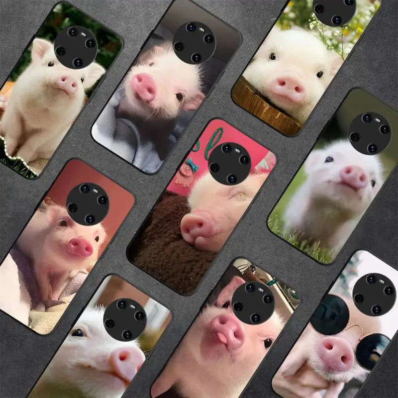 Cute Mini Pet Pig Phone Case for Huawei Y 6 9 7 5 8s prime 2019 2018 enjoy 7 plus
Cute Mini Pet Pig Phone Case for Huawei Y 6 9 7 5 8s prime 2019 2018 enjoy 7 plus