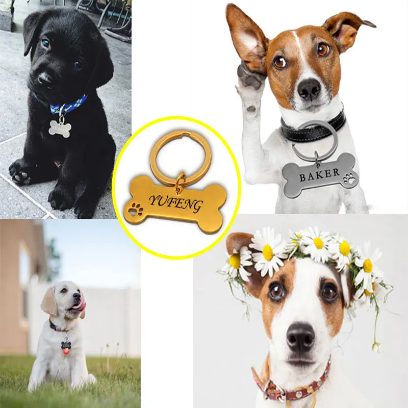 Personalized Cat Dog Pet ID Tag Keychain Engraved Pet ID Name for Cat Puppy Dog Collar Tag Pendant Keyring Bone Pet Accessories
Personalized Cat Dog Pet ID Tag Keychain Engraved Pet ID Name for Cat Puppy Dog Collar Tag Pendant Keyring Bone Pet Accessories