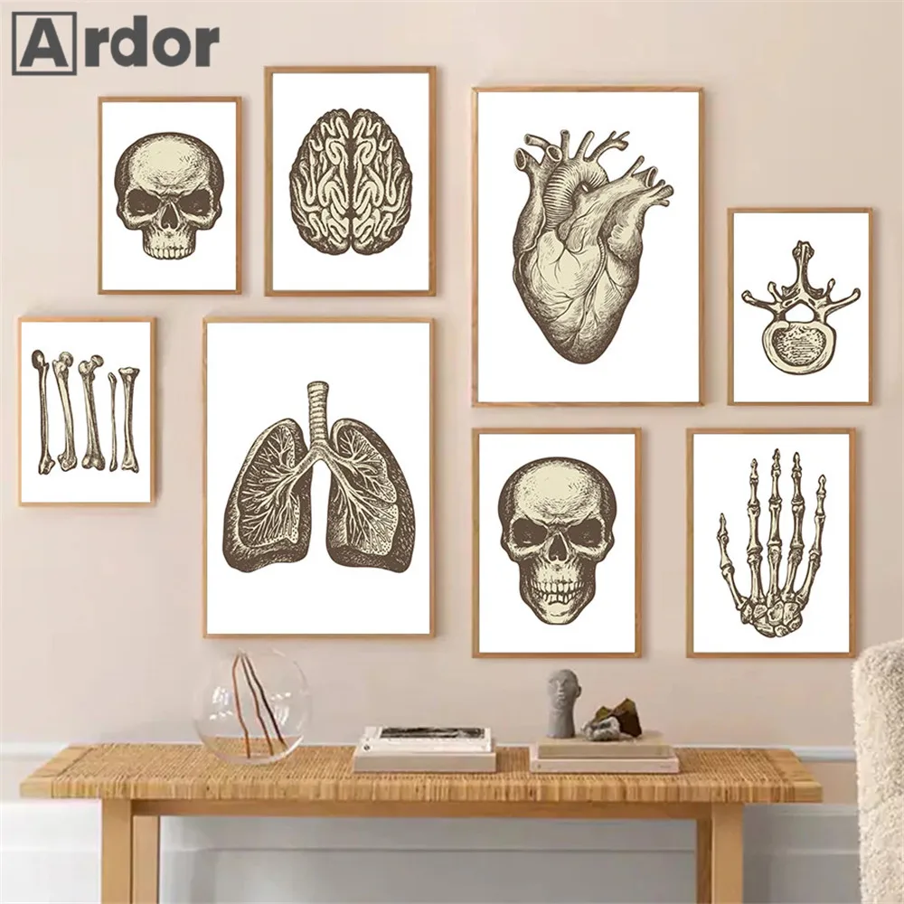 

Vintage Human Organ Anatomy Poster Bone Skull Brain Heart Lung Canvas Painting Medical Print Wall Art Picture Clinic Room Decor