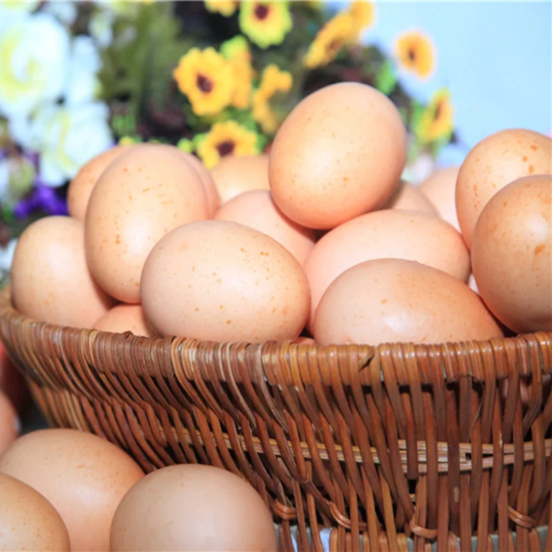 Simulate Foam Egg Duck Egg Kindergarten Childrens Color Painting DIY Props Window Props Easter Decor Farm Theme Parti Decor
Simulate Foam Egg Duck Egg Kindergarten Childrens Color Painting DIY Props Window Props Easter Decor Farm Theme Parti Decor