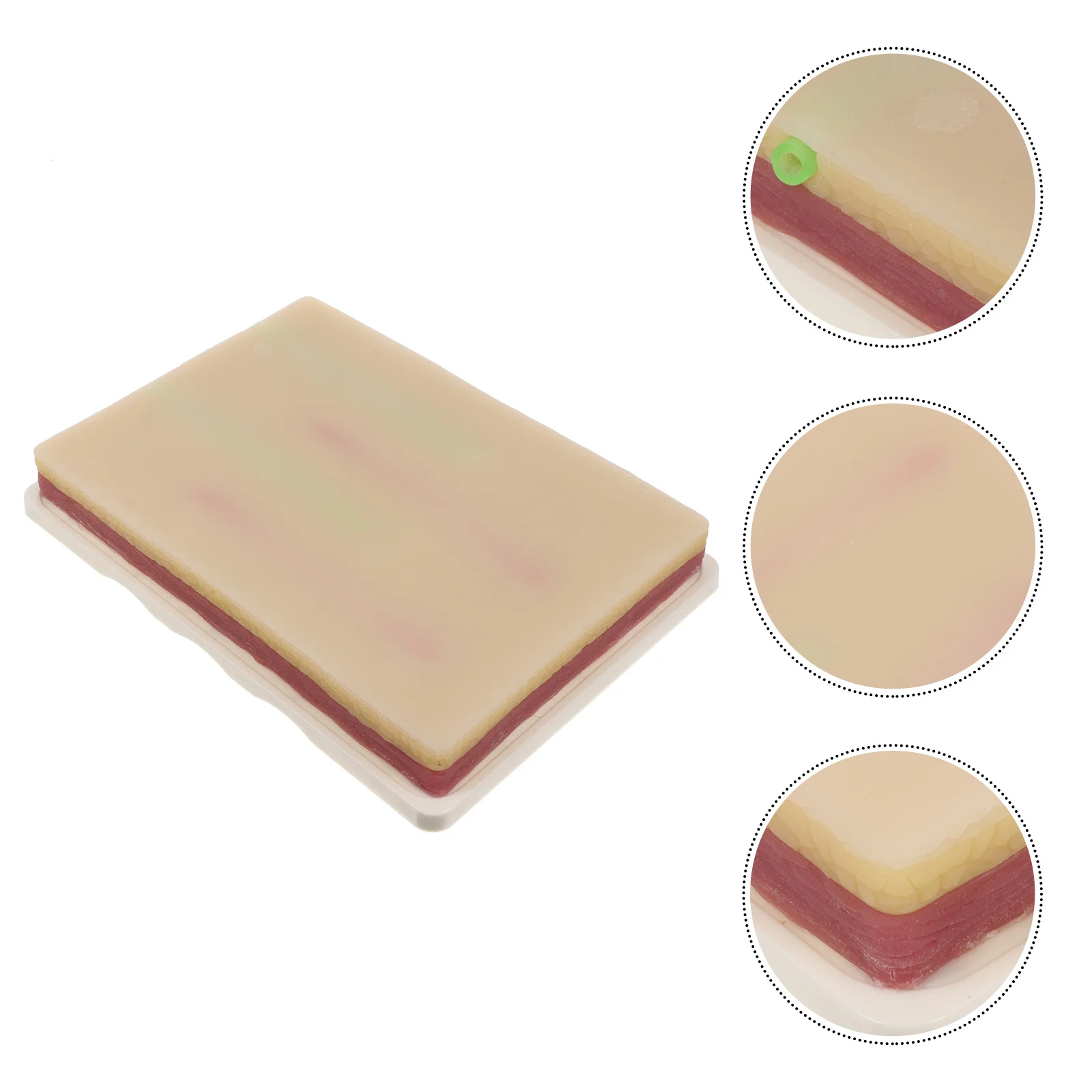 Venipuncture Iv Injection Training Pad Model Module Silicone Kit Skin Suture Models Abscesses 
Venipuncture Iv Injection Training Pad Model Module Silicone Kit Skin Suture Models Abscesses