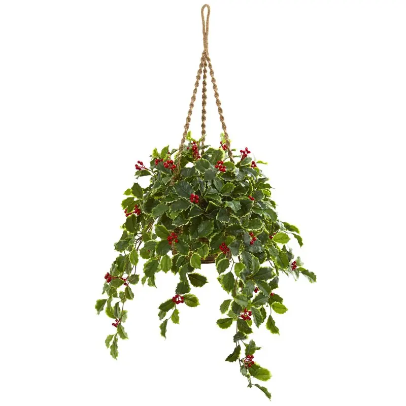 Variegated Holly with Berries Artificial Plant in Hanging Basket (Real ), Green
Variegated Holly with Berries Artificial Plant in Hanging Basket (Real ), Green