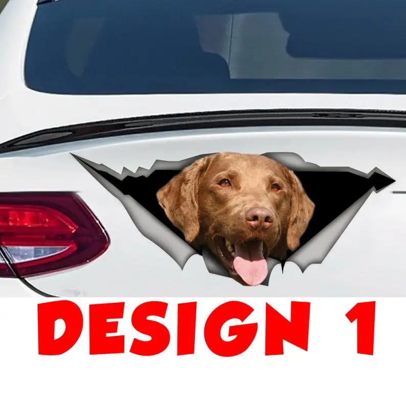 Chesapeake Bay retriever decal, Chesapeake Bay retriever sticker, dog sticker, dog decal
Chesapeake Bay retriever decal, Chesapeake Bay retriever sticker, dog sticker, dog decal