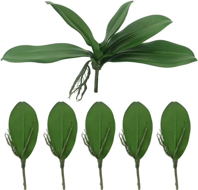 5pcs Artificial Green Phalaenopsis Simulation Moth Orchid Leaf Real Latex Touch Plant for Flowers Garden Bonsai Decor
5pcs Artificial Green Phalaenopsis Simulation Moth Orchid Leaf Real Latex Touch Plant for Flowers Garden Bonsai Decor