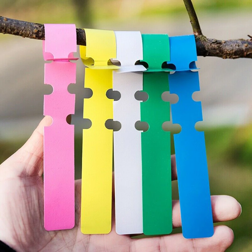 100PCS Plant Tags Garden Plant Tree Labels Hanging Name Tags Seed Nursery Marker Waterproof Gardening Accesorries
100PCS Plant Tags Garden Plant Tree Labels Hanging Name Tags Seed Nursery Marker Waterproof Gardening Accesorries