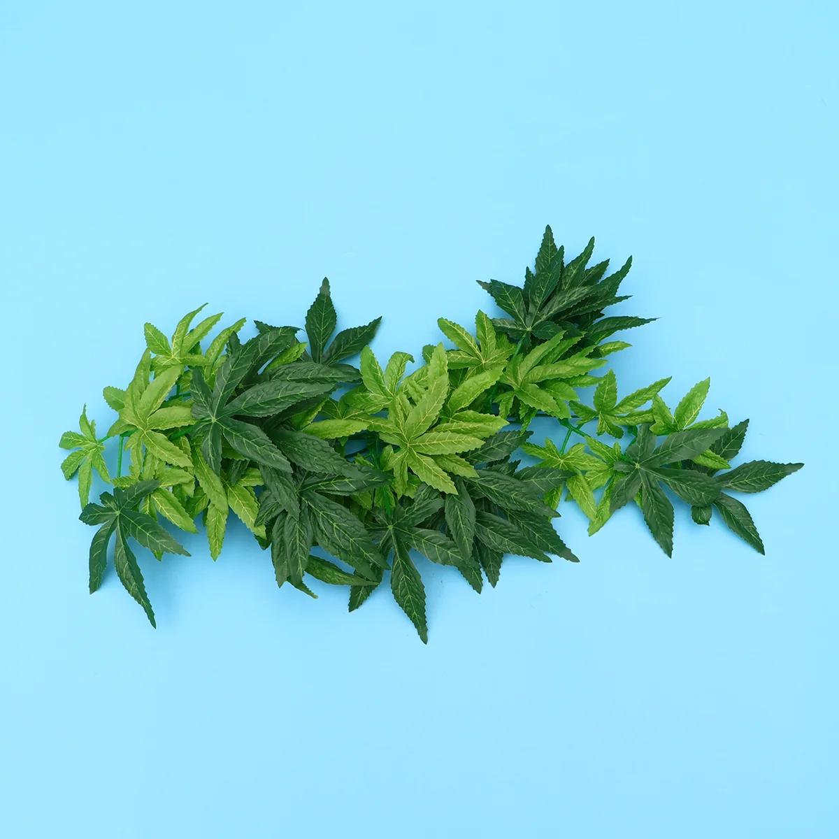 Reptiletank Aquarium Terrarium Plantfake Decorationsaccessories Decor Rattan Dragon Bearded Leaves Simulation Vines Habitat Live
Reptiletank Aquarium Terrarium Plantfake Decorationsaccessories Decor Rattan Dragon Bearded Leaves Simulation Vines Habitat Live