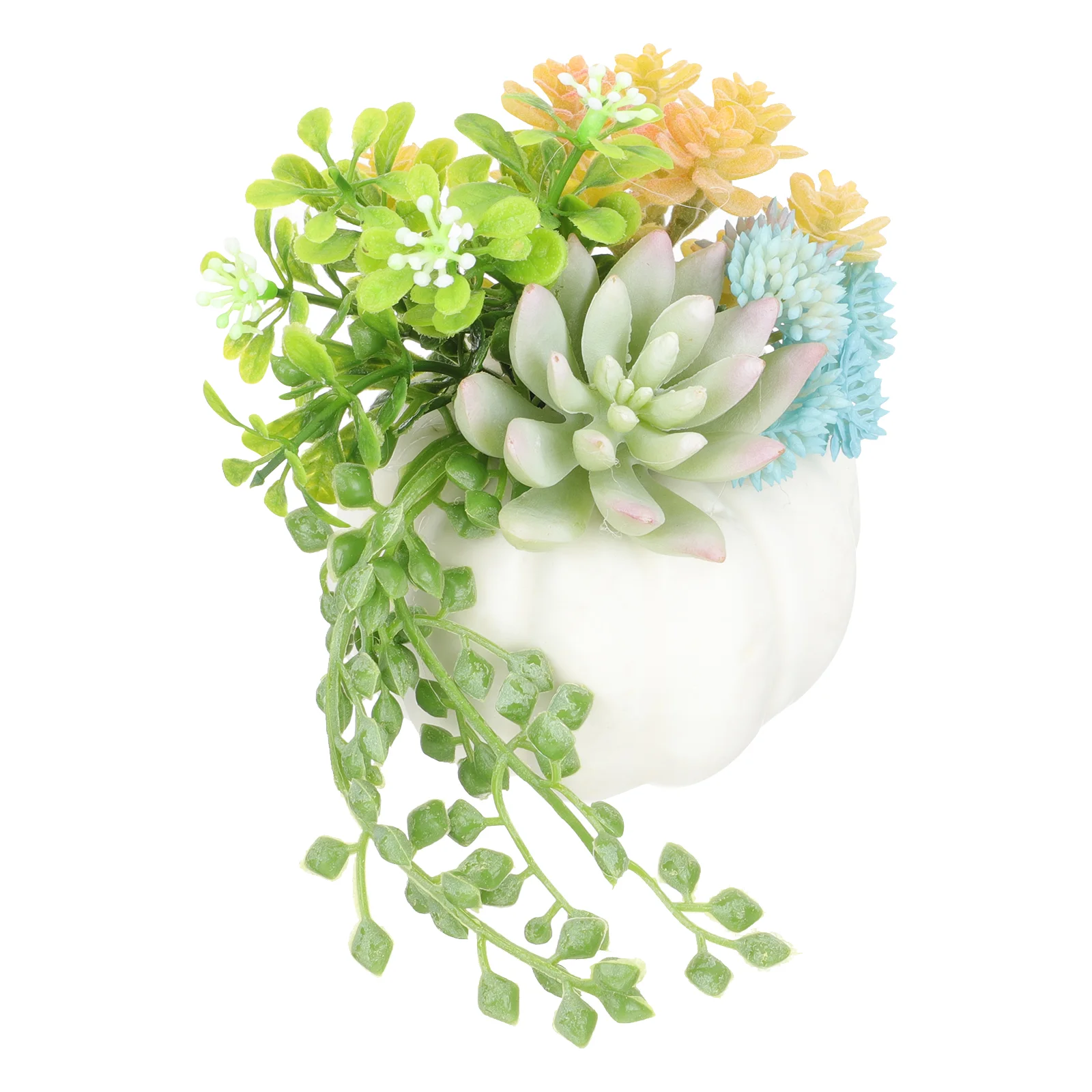 Artificialfake Decor Succulentsbonsai Potted Faux Desk Officepot Pots Succulent Flowerssmallflower Decorations Pumpkin Pumpkins
Artificialfake Decor Succulentsbonsai Potted Faux Desk Officepot Pots Succulent Flowerssmallflower Decorations Pumpkin Pumpkins