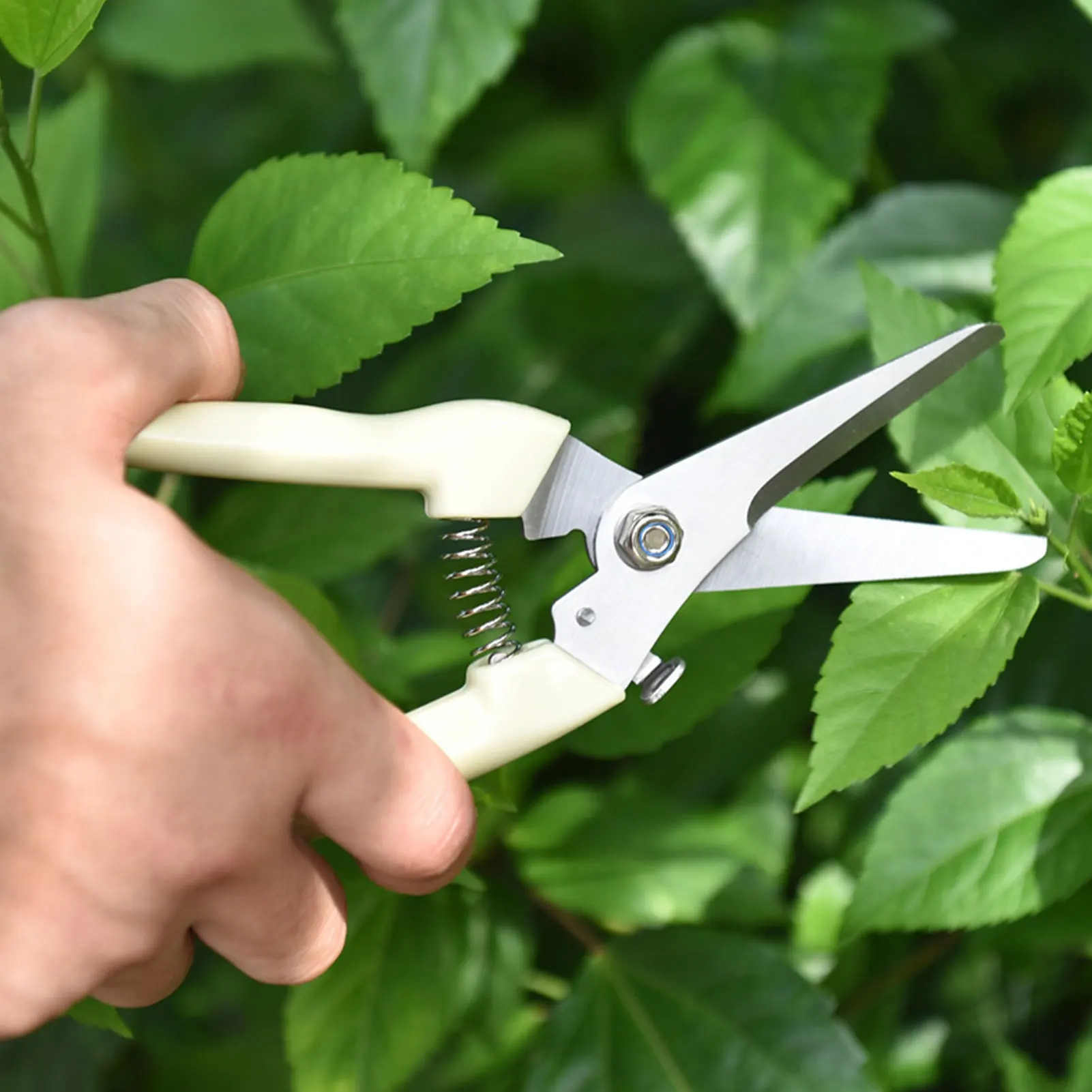 Pruning Shears Garden Tool Tools Sets Scissors Cordless Pruner Binding Gardening And Equipment Agricultural Grafting Knife Farm
Pruning Shears Garden Tool Tools Sets Scissors Cordless Pruner Binding Gardening And Equipment Agricultural Grafting Knife Farm