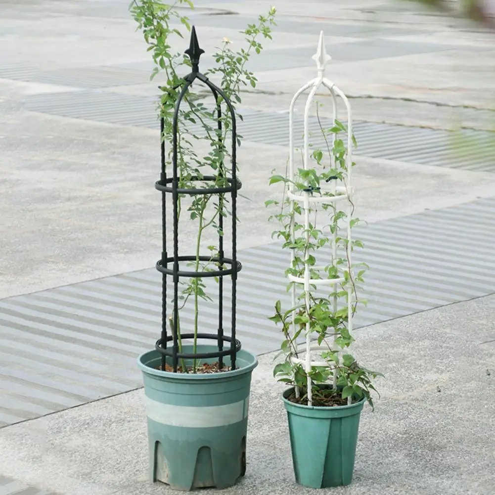 Plant Climbing Frame Decorative Plant Support Sturdy Easy-to-install Plant Climbing Frame Trellis Support for Home Garden Potted
Plant Climbing Frame Decorative Plant Support Sturdy Easy-to-install Plant Climbing Frame Trellis Support for Home Garden Potted