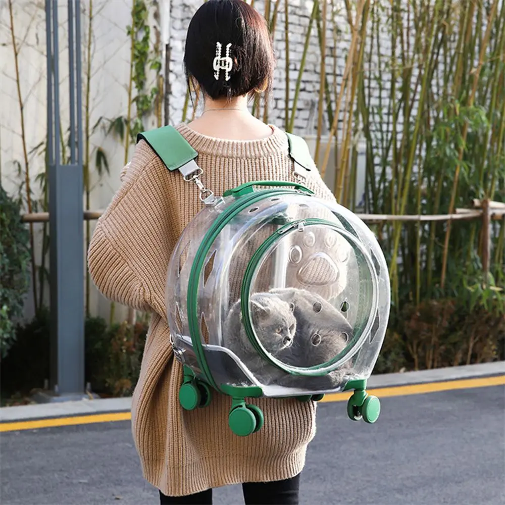 Outdoor Transparent Waterproof Cats/Dogs Carry Bag Air Box Pet Backpack Pet Trolley Case
Outdoor Transparent Waterproof Cats/Dogs Carry Bag Air Box Pet Backpack Pet Trolley Case