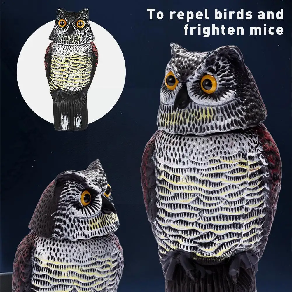 New Unique To Repel Birds And Frighten Mice Windmill Wind Toys Spinner De Garden Children Whirligig Decoration Yard Home Ca M7Q0
New Unique To Repel Birds And Frighten Mice Windmill Wind Toys Spinner De Garden Children Whirligig Decoration Yard Home Ca M7Q0
