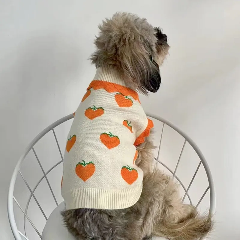 Dog Clothes Spring and Autumn Fruit Pattern Knitted Sleeveless Dog Sweater Schnauzer Dachshund Pug Outdoor Designer Dogclothes
Dog Clothes Spring and Autumn Fruit Pattern Knitted Sleeveless Dog Sweater Schnauzer Dachshund Pug Outdoor Designer Dogclothes