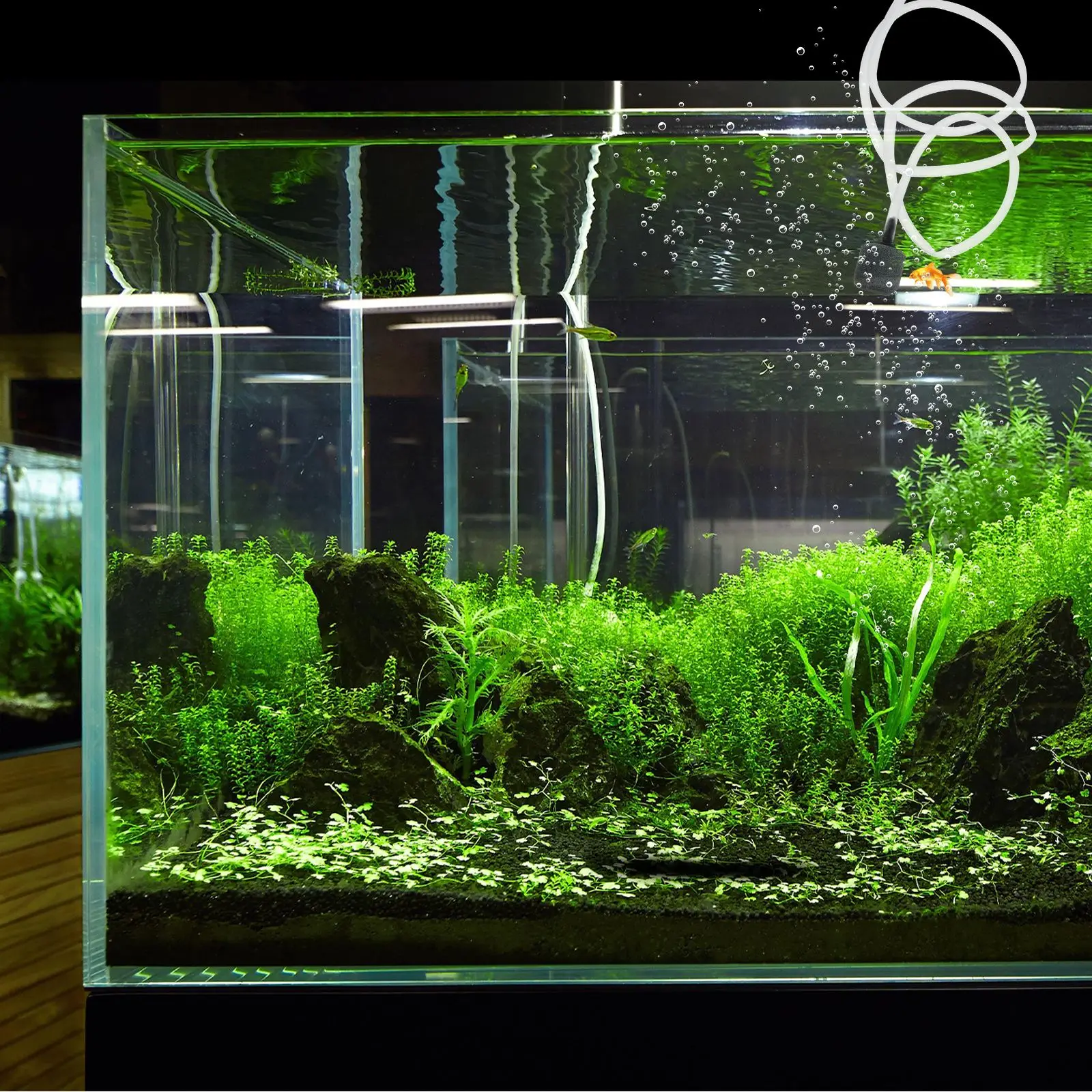 Mini Aquarium Oxygen Air Pump Fish Tank USB Silent Air Compressor Aerator Portable Mini Small Oxygenator Aquarium Accessories
Mini Aquarium Oxygen Air Pump Fish Tank USB Silent Air Compressor Aerator Portable Mini Small Oxygenator Aquarium Accessories