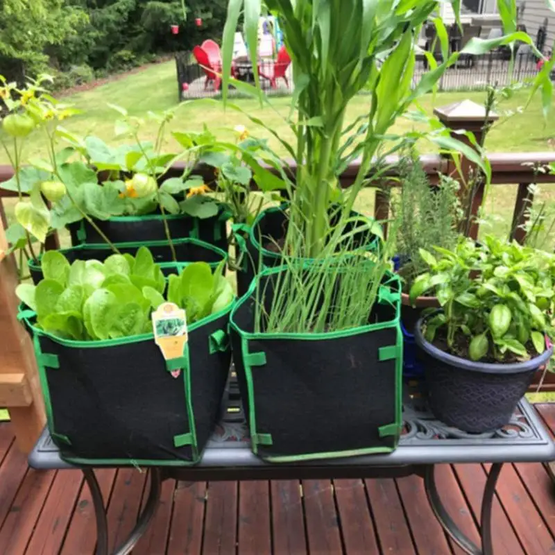 Square Grow Bags 10 Gallon Non-Woven Fabric Pots With Handles Thickened Non-Woven Fabric Planting Bags Gardening Black
Square Grow Bags 10 Gallon Non-Woven Fabric Pots With Handles Thickened Non-Woven Fabric Planting Bags Gardening Black