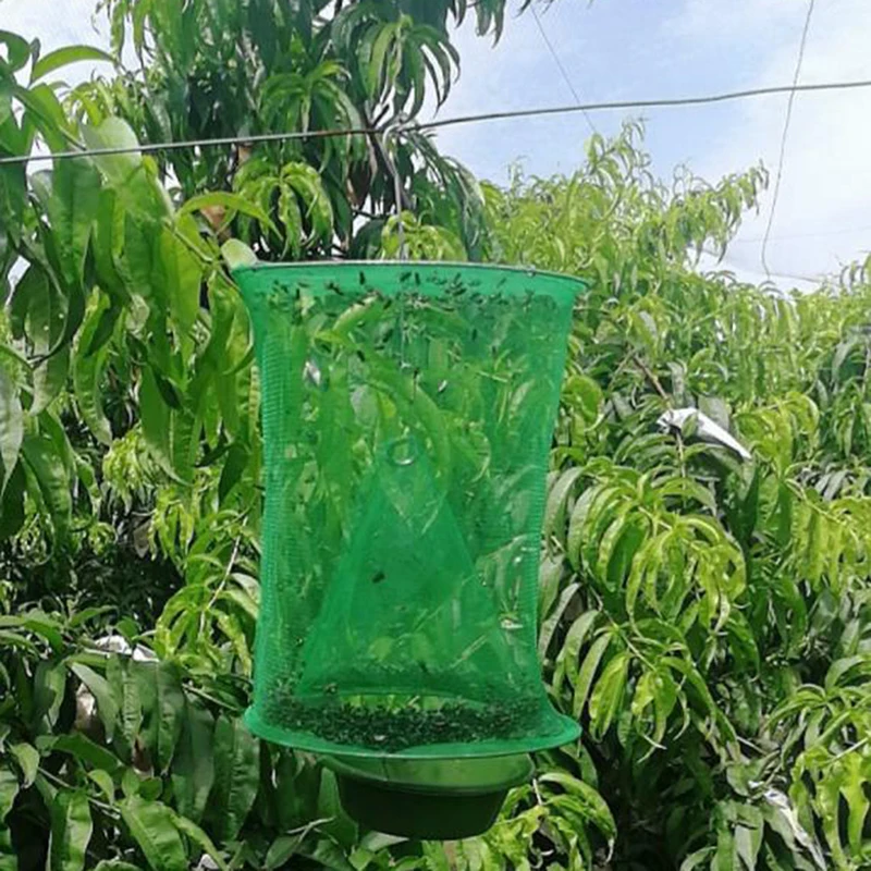 1PCS Killer Flies Flytrap Zapper Cage Net Trap Pest Control Reusable Hanging Fly Catcher Garden Home Yard Supplies Dropshipping
1PCS Killer Flies Flytrap Zapper Cage Net Trap Pest Control Reusable Hanging Fly Catcher Garden Home Yard Supplies Dropshipping