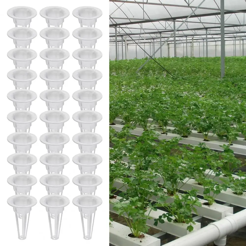 Convenient Hydroponic Plant Basket Reusable Multipurpose Durable Plant Grow Basket Garden Accessories
Convenient Hydroponic Plant Basket Reusable Multipurpose Durable Plant Grow Basket Garden Accessories