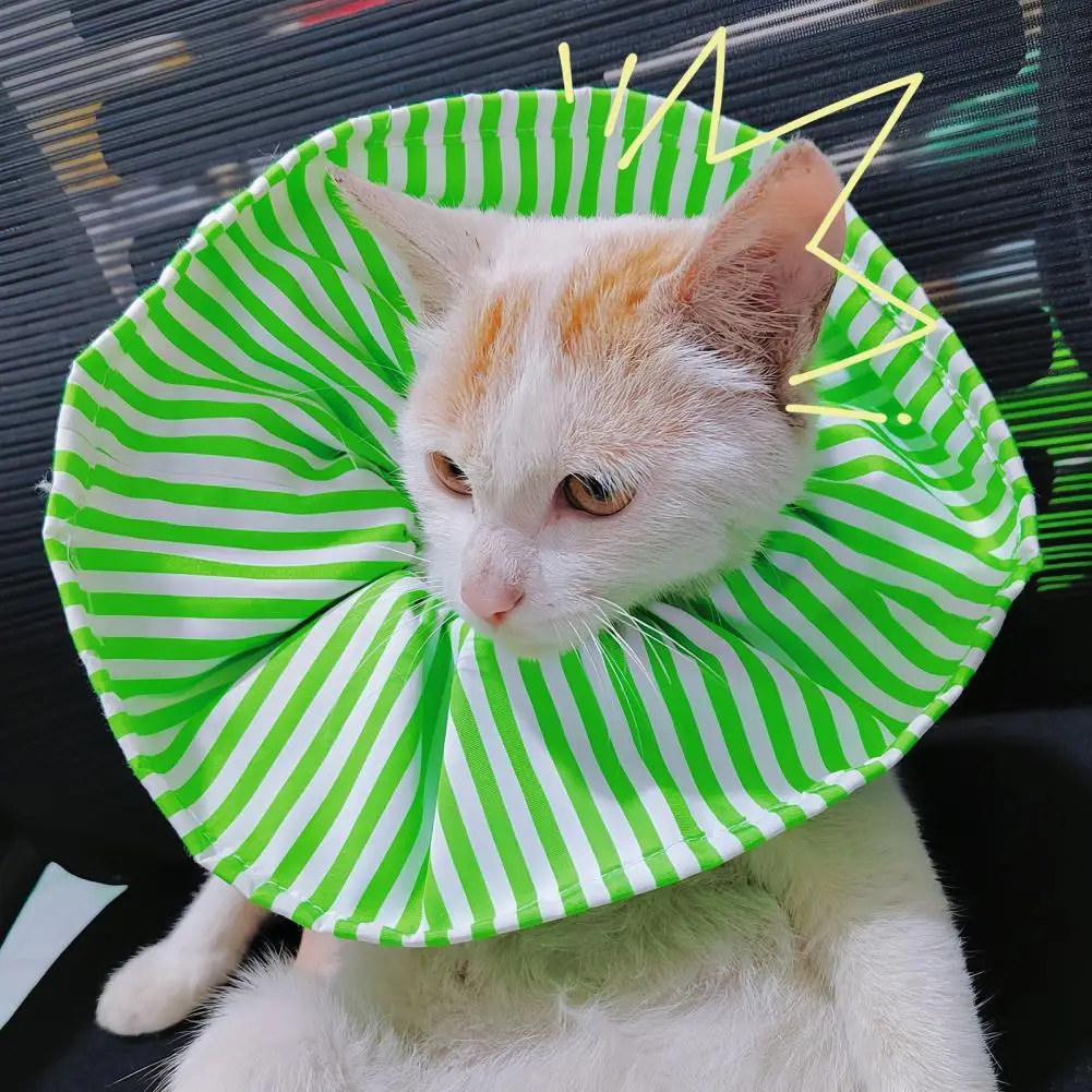 Cozy Skin Touch Breathable Cat Wound Healing Neck Protective Collar Dog Supplies Cat Protective Collar Pet Recovery Collar
Cozy Skin Touch Breathable Cat Wound Healing Neck Protective Collar Dog Supplies Cat Protective Collar Pet Recovery Collar