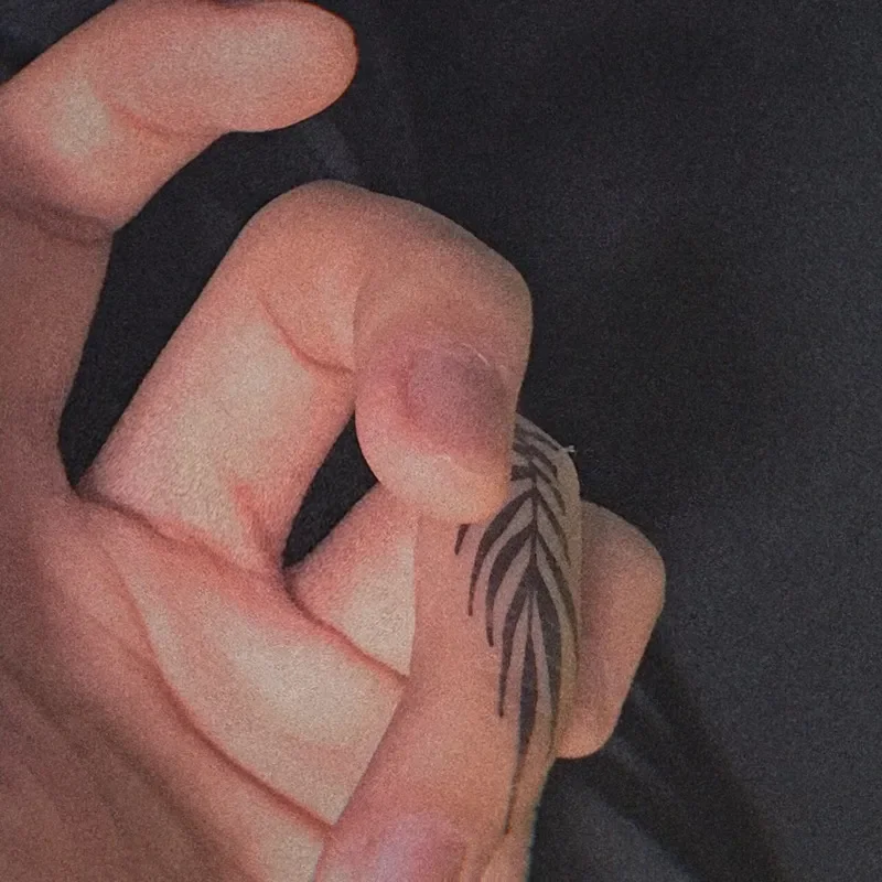 4 шт./набор, водонепроницаемые временные тату-наклейки в виде ЧЕРНЫХ ЛИСТЬЕВ
4 шт./набор, водонепроницаемые временные тату-наклейки в виде ЧЕРНЫХ ЛИСТЬЕВ