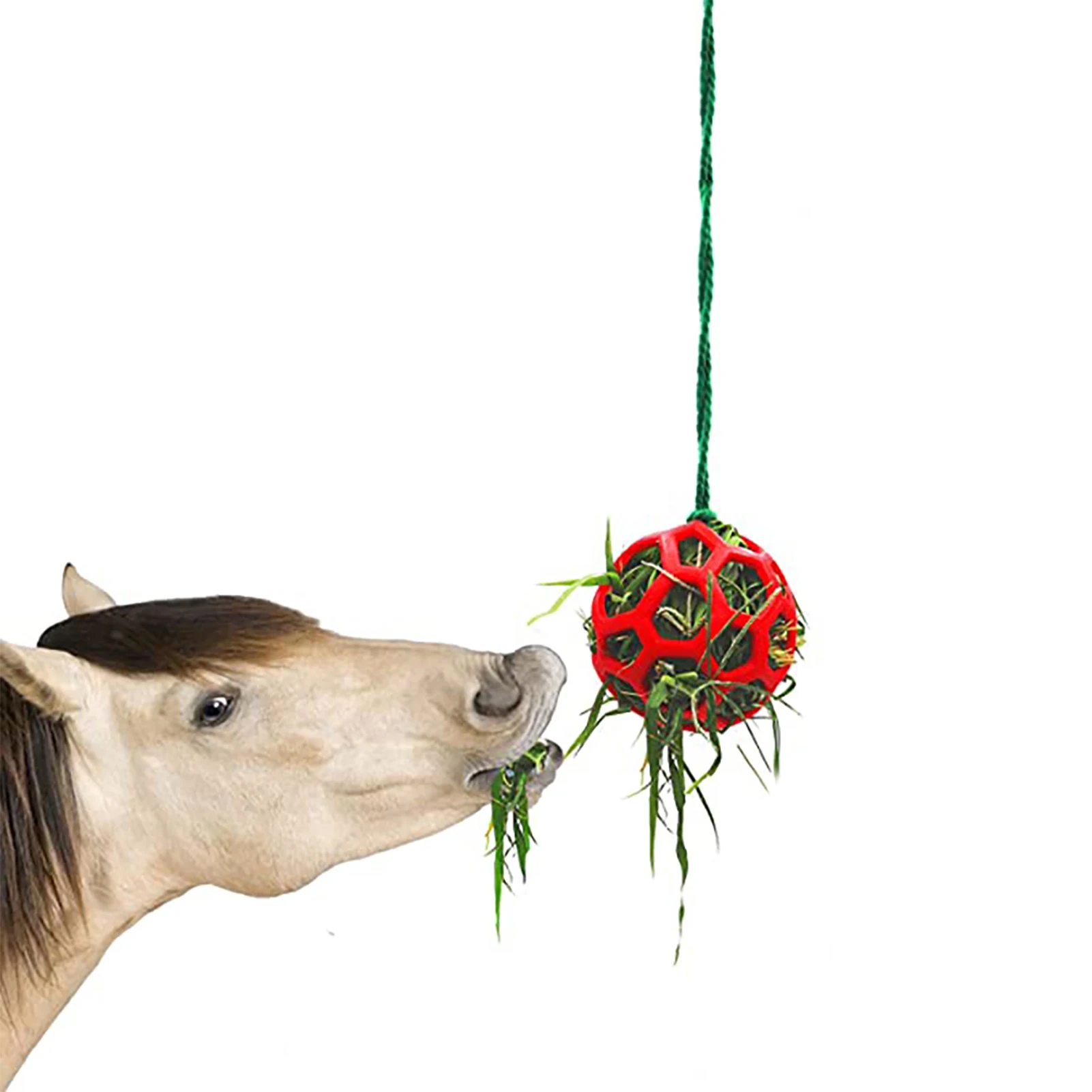 Toy Ball Hangings Feeding Toy For Horse Goat Sheep Slow Feeder Hay Feeding Supplies
Toy Ball Hangings Feeding Toy For Horse Goat Sheep Slow Feeder Hay Feeding Supplies