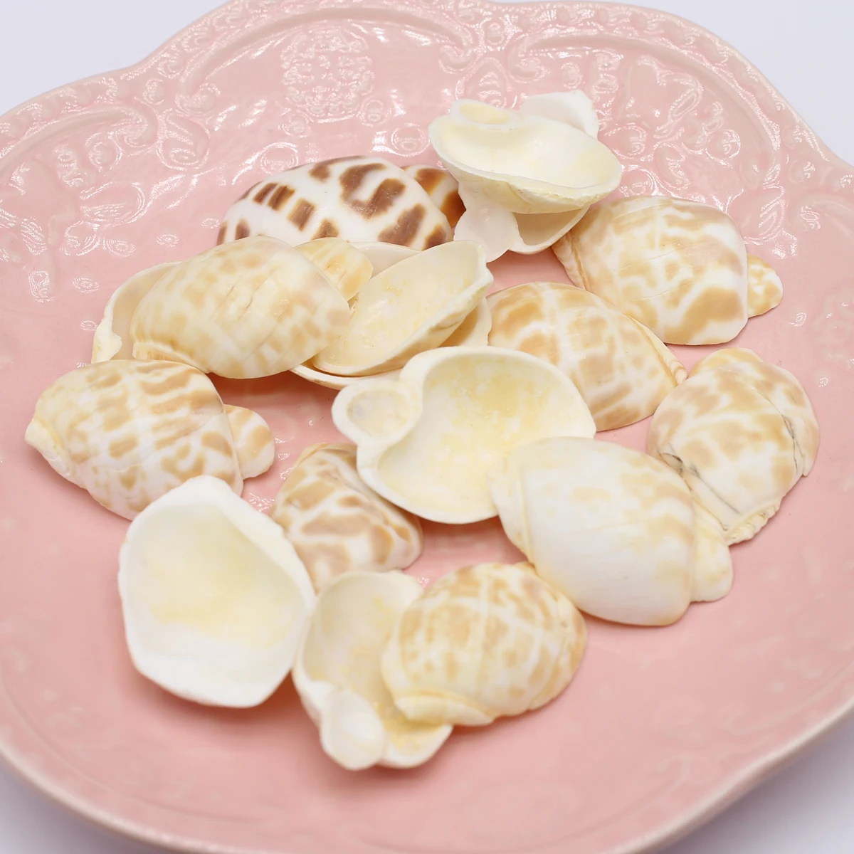 Natural Shell Flower Bead Conch Natural Shell Loose Beads for Making DIY Jewerly Earrings Necklace Accessories 20x30-25x35mm
Natural Shell Flower Bead Conch Natural Shell Loose Beads for Making DIY Jewerly Earrings Necklace Accessories 20x30-25x35mm